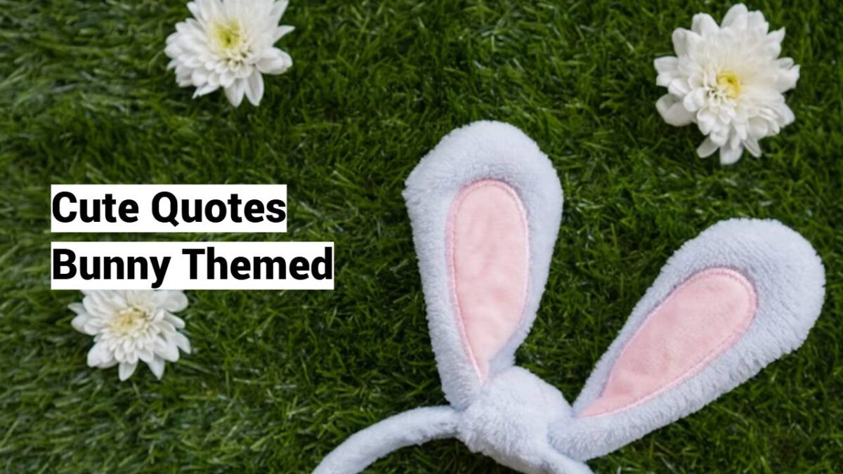 Cute Quotes Bunny Themed Cute Quotes Bunny Themed